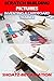 Model Airplane: Inventing A Cardboard Trainer (Flight Craft, remote control flight, RC scratchbuilt experimental aircraft photos) (Scratch Building Pictures Book 1)