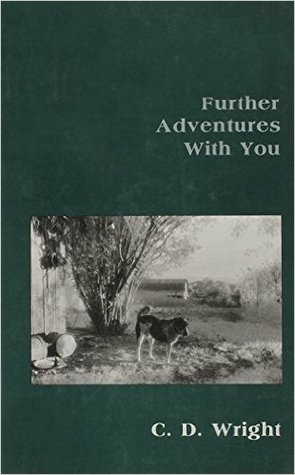 Further Adventures with You (Paperback)