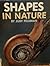 Shapes in Nature (Wordless Concept Books)