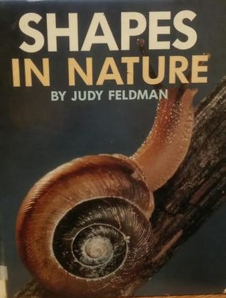 Shapes in Nature (Wordless Concept Books)