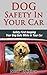 Dog Safety In Your Car: Safety First Keeping Your Dog Safe While in Your Car