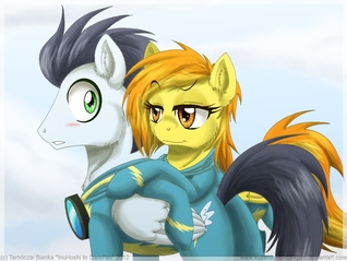 A Night With the Wonderbolts