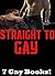 STRAIGHT TO GAY: GAY EROTICA: Multiple Book Collection of Straight Men Turned Gay, Male on Male Action, Gay Menage And More!
