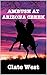 Ambush at Arizona Creek (Bloodshed in the West #9)