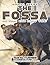 THE FOSSA Do Your Kids Know This?: A Children's Picture Book (Amazing Creature Series 48)