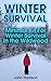Winter Survival: Minimal Kit For Winter Survival In the Wildwood : (Prepper's Guide, Survival Guide, Alternative Medicine, Emergency)