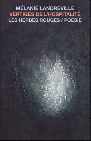 Vertiges de l'hospitalité (Paperback)