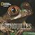 Face aux grenouilles by Mark Moffett