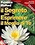 Il Segreto per Esprimere il Meglio di Te (Italian Edition)
