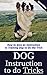 Dog Instruction to Do Tricks: How to Give an Instruction to Training Dog to Do Tricks