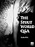 The Spirit World Q&A by Jonathon Welles