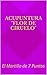 ACUPUNTURA "FLOR DE CIRUELO": El Martillo de 7 Puntas (Spanish Edition)