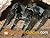Brazilian Black Tarantula Care Guide by Specialty Guides