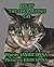 Colby the Courageous Cat