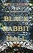 Il segreto di Black Rabbit Hall