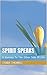 Spirit Speaks : A Journey To The Other Side Of Life