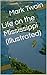 Life on the Mississippi (Illustrated)