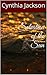Salvation of the Sun by Cynthia Jackson