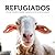 Refugiados: Animales liberados de granjas, mataderos y otros centros de opresión