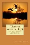 Thirteen Geese in Flight: One Black Woman's Ascent into Mental Illness