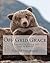 Off Grid Grace: A Journey to Living Off Grid in Alaska
