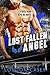 Lost Fallen Angel (Back Down Devil MC, #14)