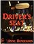 Driver's Seat