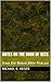 Notes on the Book of Acts by Michael S. Heiser