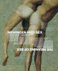 Meningen med sex : noen kunstneriske, populærkulturelle og vitenskapelige undersøkelser
