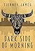 Dark Side of Morning by Tierney James