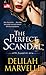 The Perfect Scandal