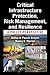Critical Infrastructure Protection, Risk Management, and Resilience: A Policy Perspective