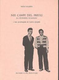 Nei campi del Friuli: La giovinezza di Pasolini (Paperback)