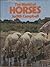 The World of Horses