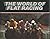 The World of Flat Racing