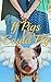 If Pigs Could Fly (Possum C...