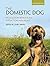 The Domestic Dog: Its Evolution, Behavior and Interactions with People
