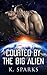 Courted by the Big Alien