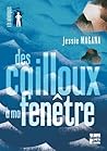 Des cailloux à ma...