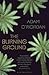 The Burning Ground