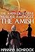 Murder Amongst the Amish