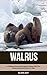Walrus: A Children Pictures Book About Walrus With Fun Walrus Facts and Photos For Kids