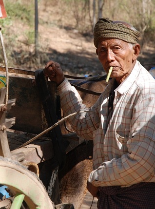 El cochero Mateo (ebook)