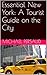 Essential New York: A Touri...