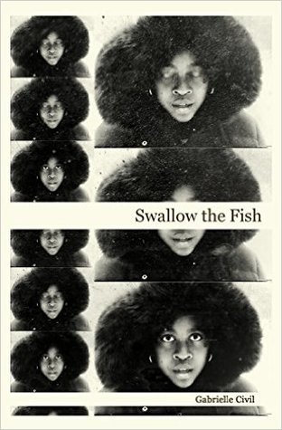 Swallow the Fish (Paperback)