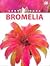 BROMELIA