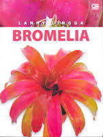 BROMELIA (Unknown Binding)