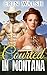Romance: Courted In Montana