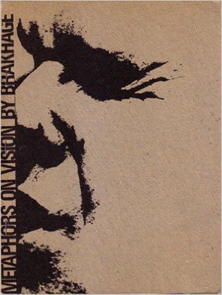 Metaphors on Vision (Paperback)