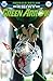 Green Arrow (2016-2019) #13
